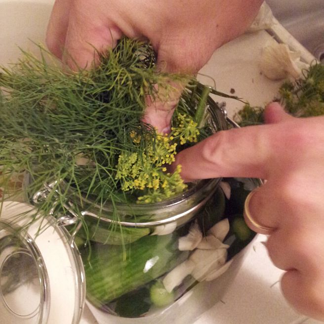 Pickled Cucumbers Fermentation Method